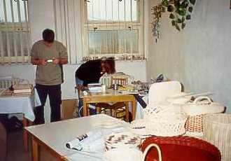 Moje ko�iky v pop�edi