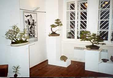 Ploch� os�zen� misky s bonsajemi